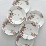 6 antique dessert plates in Limoges porcelain by Haviland & Co.