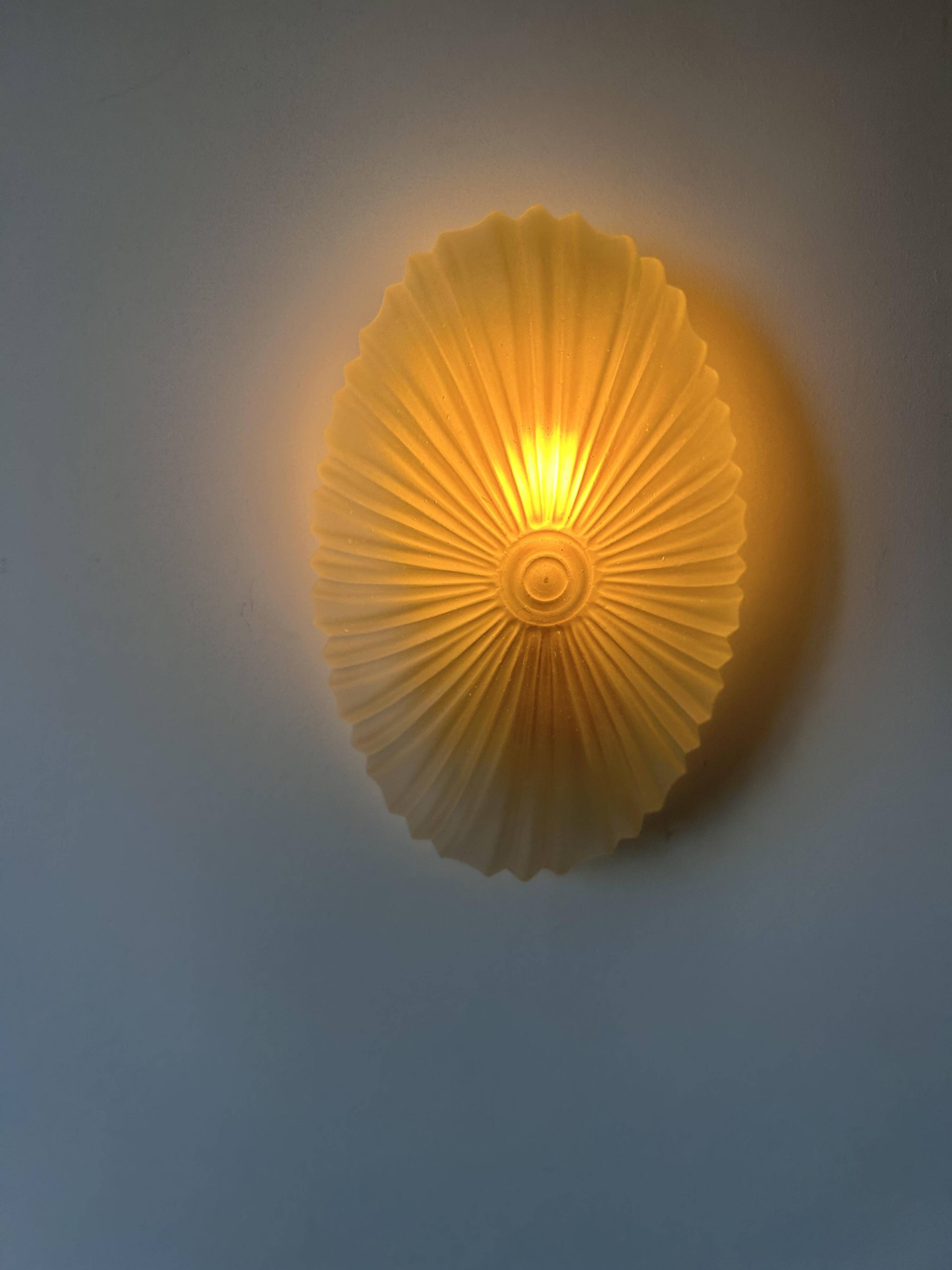 Pair of vintage sandblasted glass wall lights, France 1970s