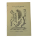 Botanical engraving butterflies double-sided naturalist plate Etching