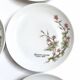 Lot de 6 assiettes à dessert de Bavière mobil décor fleurs roses