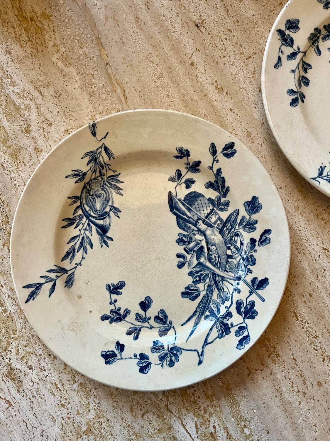 Two antique ironstone plates
