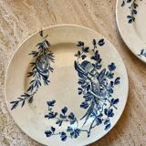 Two antique ironstone plates
