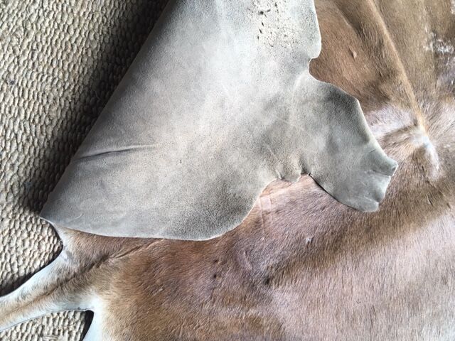 Cow skin rug 150x120cm