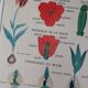 Vintage rossignol school educational poster - the tulip and the golden button