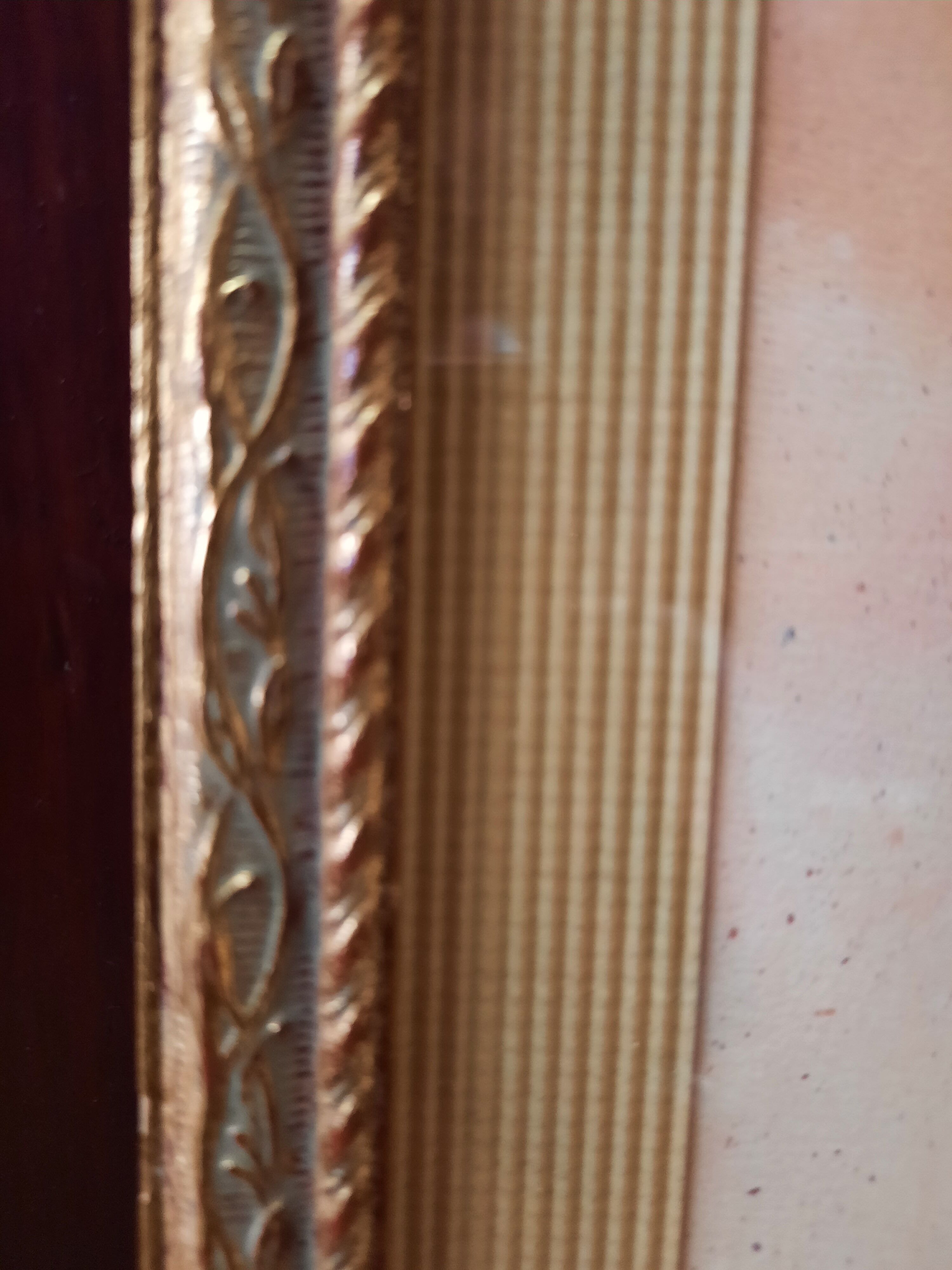 The Tuscan rose vintage illustration