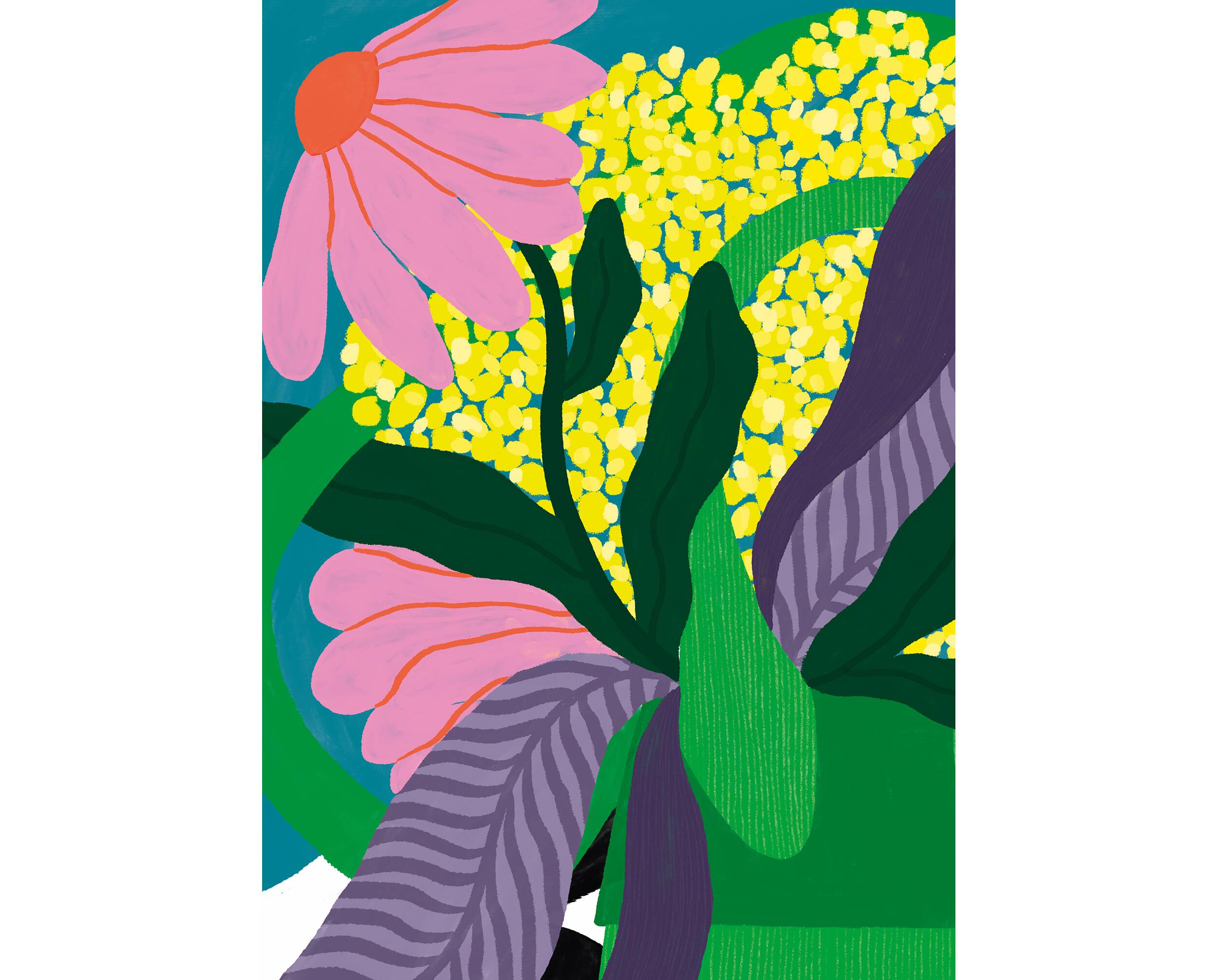 Jacques - a3 illustration