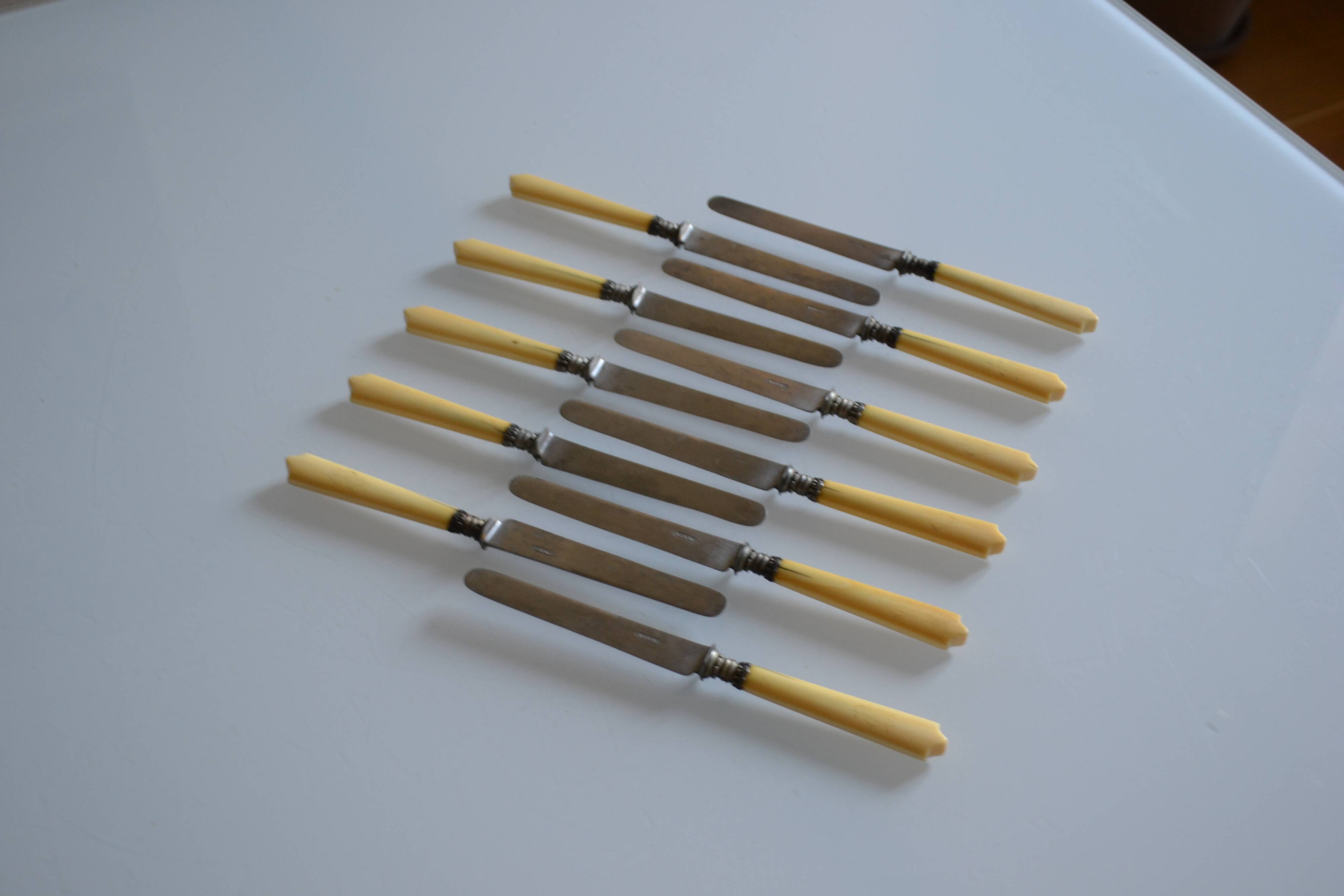 11 antique 19th-century table knives with ivory-colored monogram handles