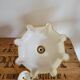 Yellow opaline suspension