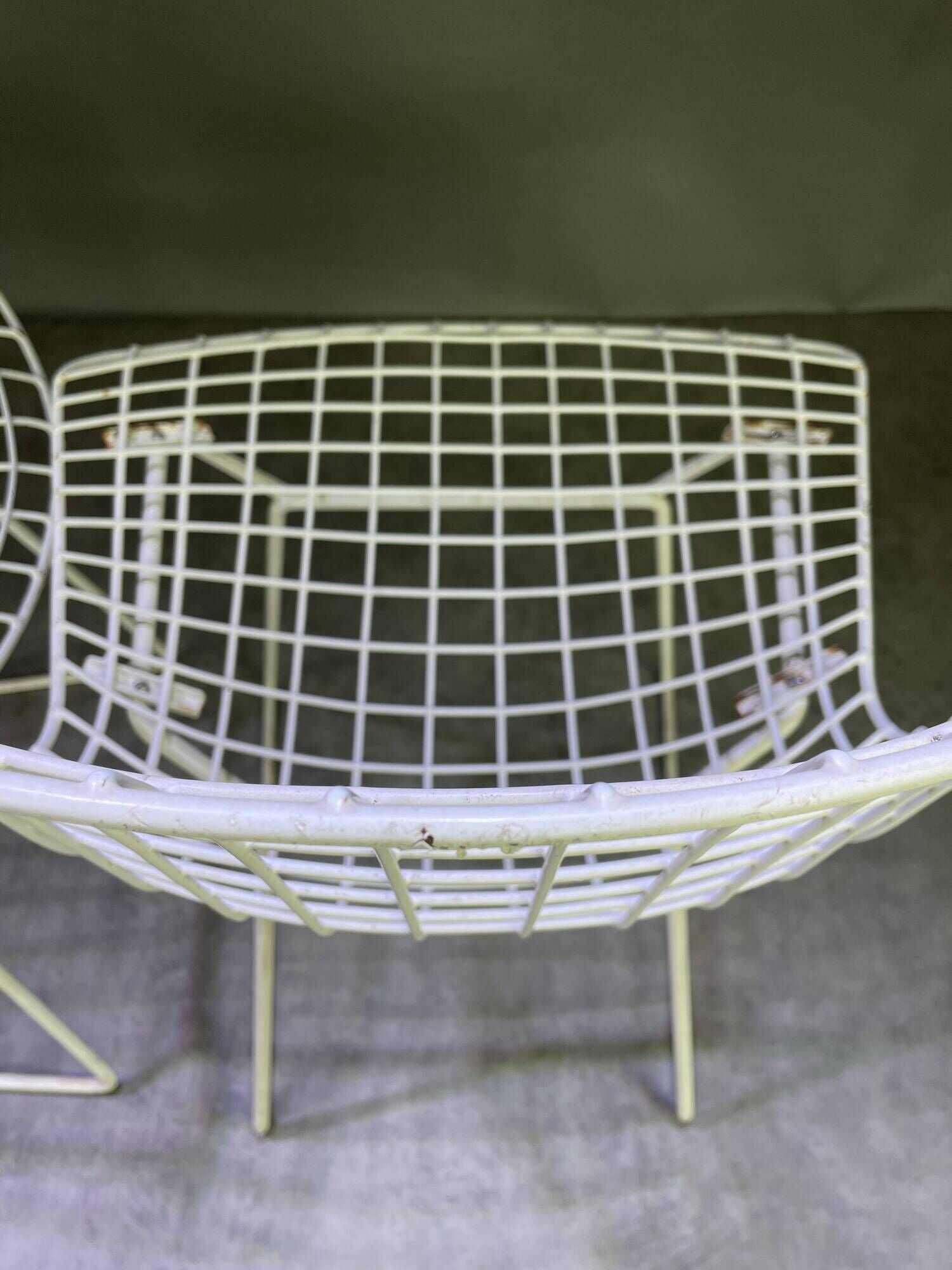 Pair of white lacquered Bertoia chairs