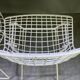 Pair of white lacquered Bertoia chairs