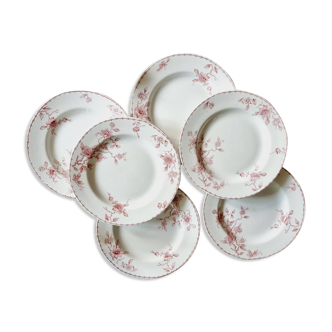 Set of 6 KG Lunéville Hollandais flat plates