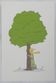 Antoine de Saint-Exupéry: Ecology, The Little Prince watches over the trees, lithograph