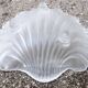 Shell-shaped catchall