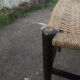 Pair of Italian design chairs 60