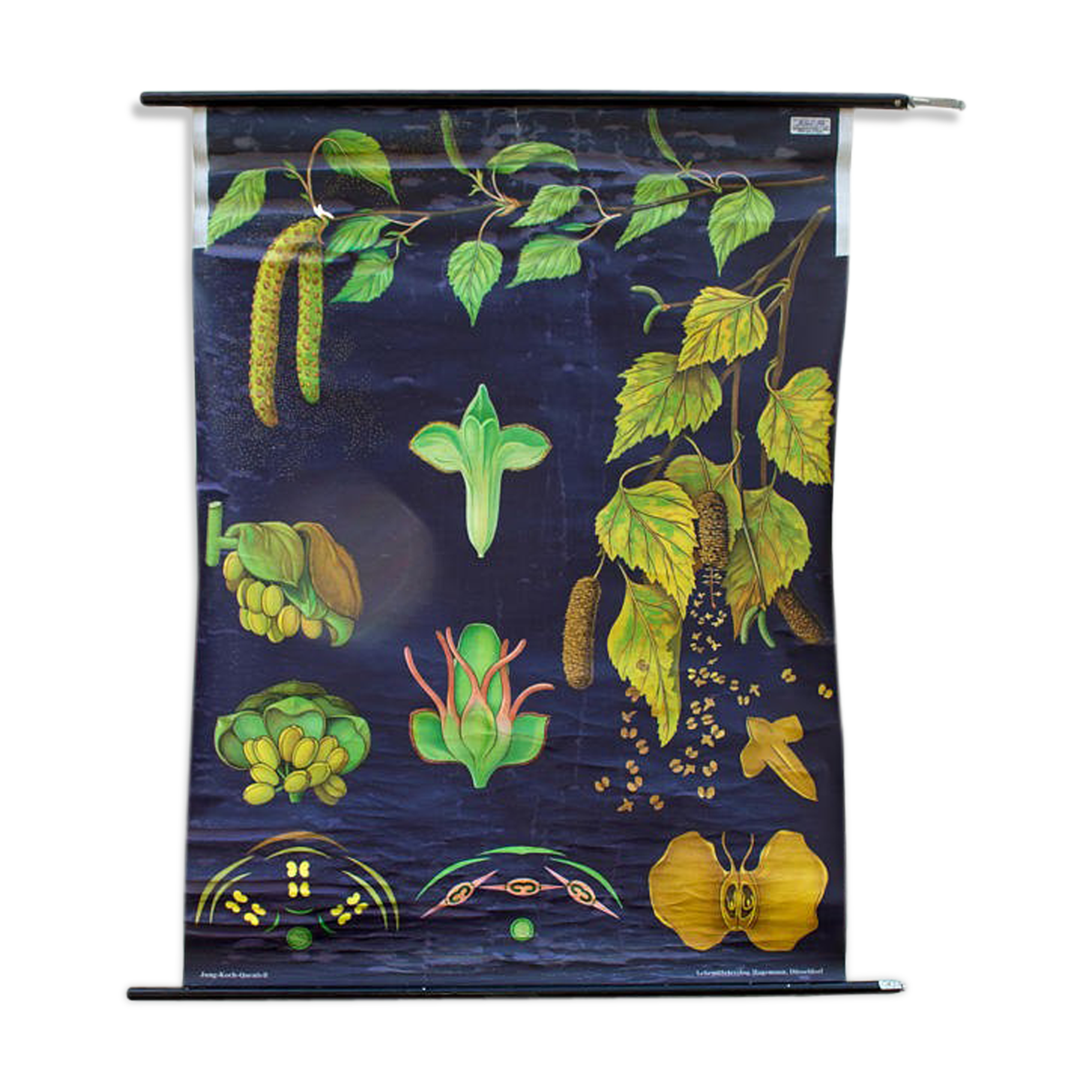 Jung-Koch-Quentell School Poster, Maple, 1964