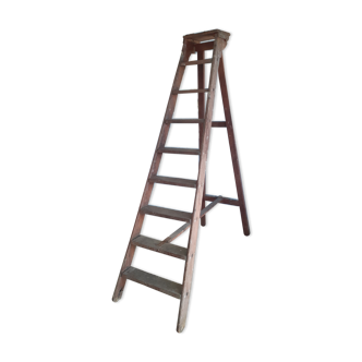 Old stepladder