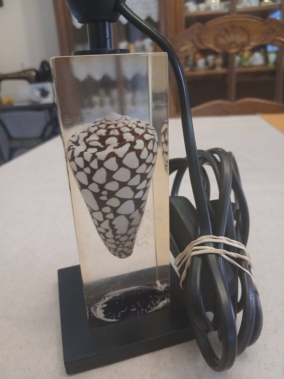 Shell inclusion lamp