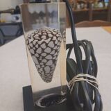 Shell inclusion lamp