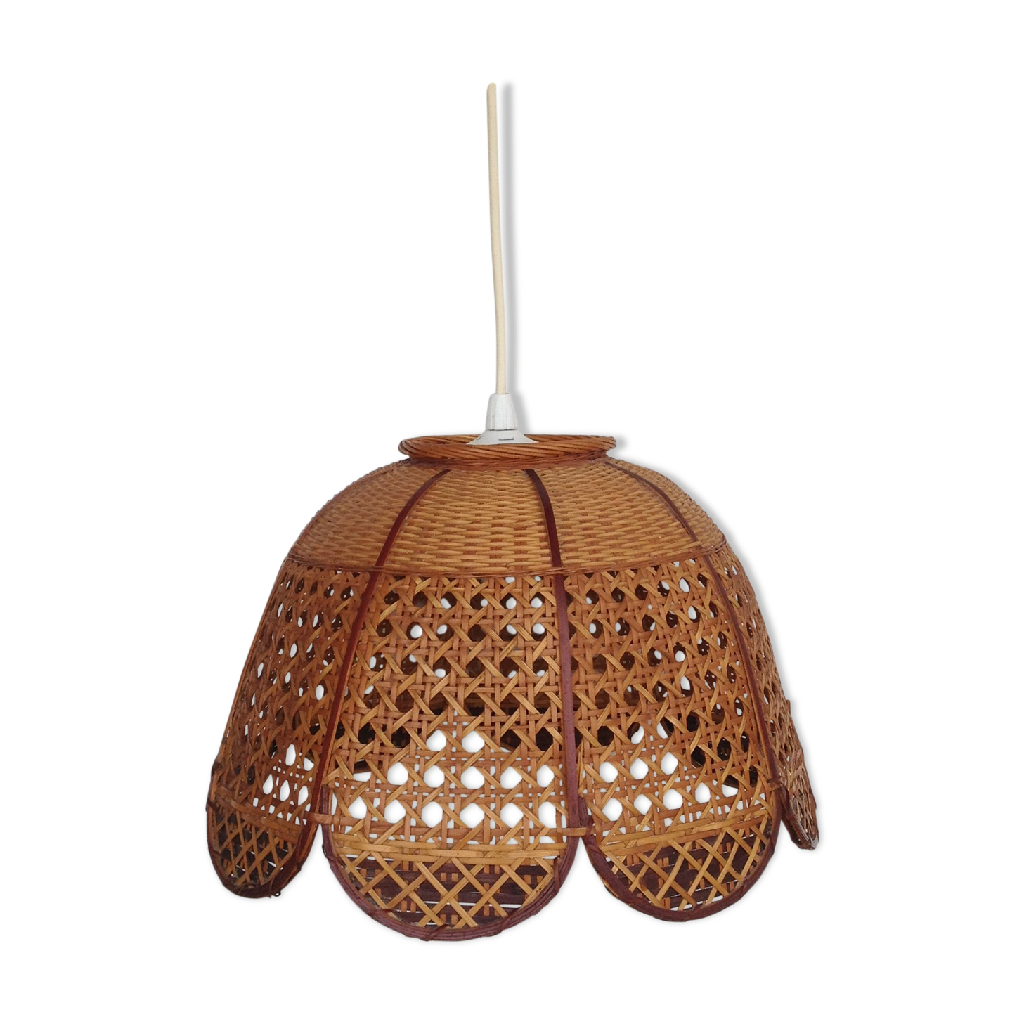 Cane and braided rattan hanging lamp