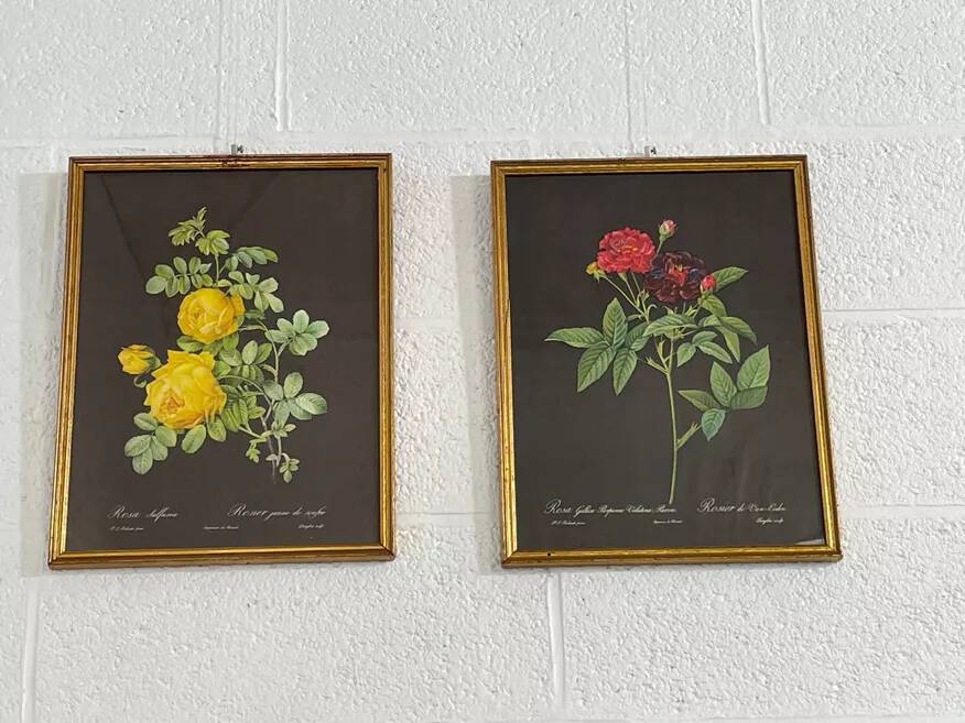 Pair of flower engravings