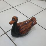 Large brown and black duck
