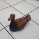 Large brown and black duck