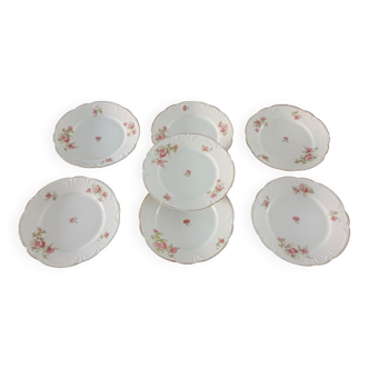 Dessert plates