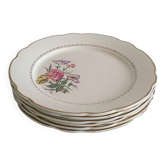 Flat plates Digoin & Sarreguemines