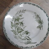 5 plates flat land of iron