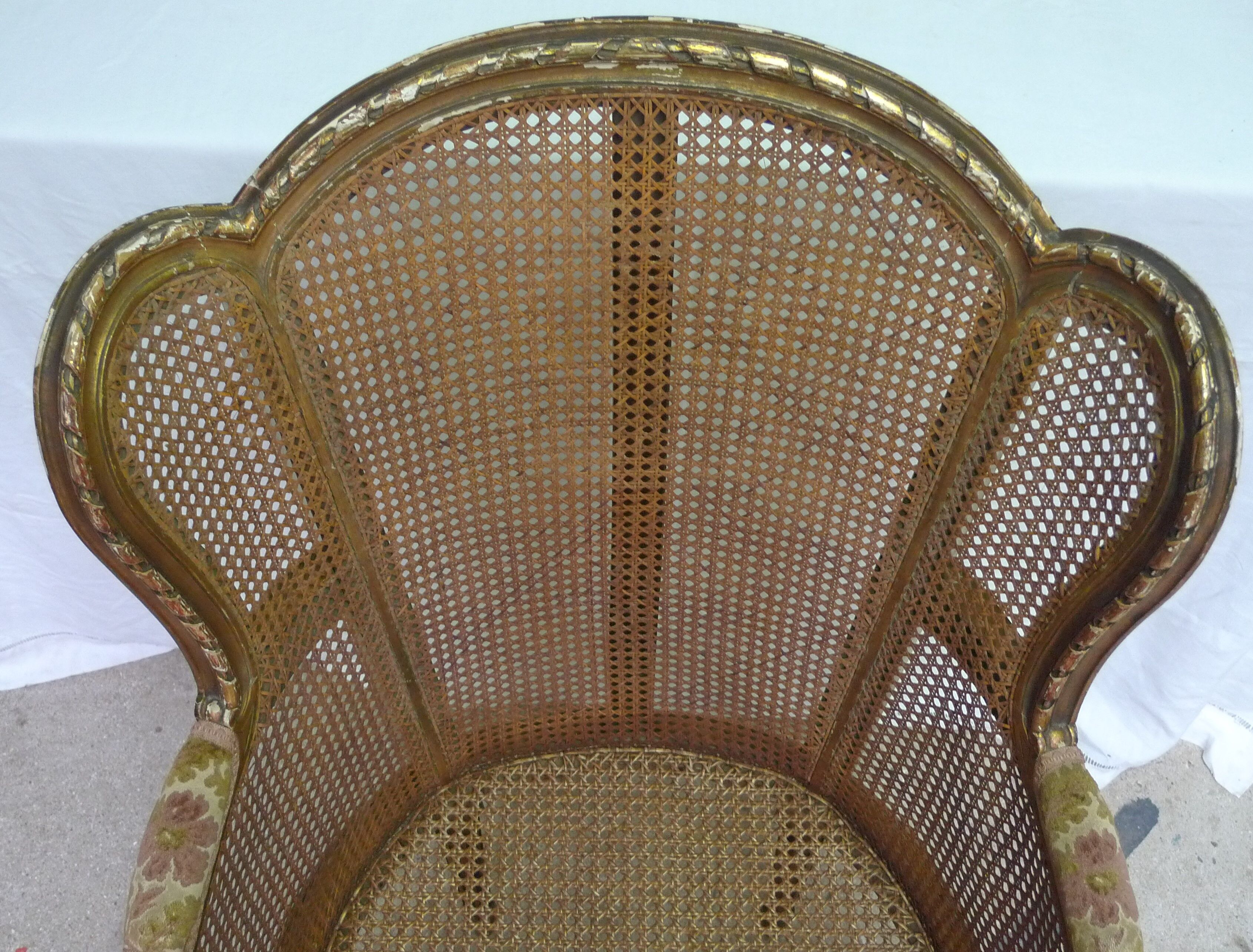 Bergere in ear canning