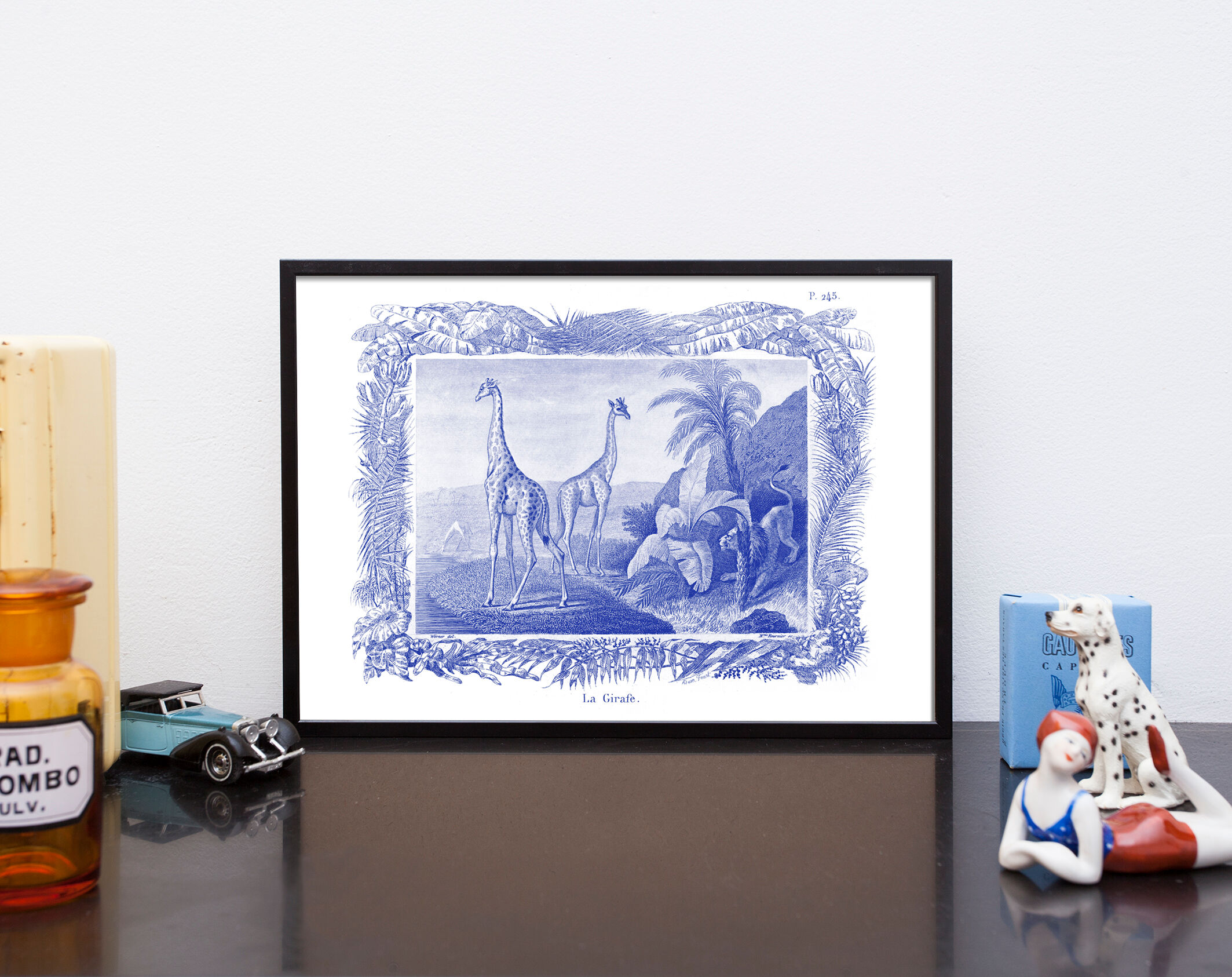 Lithography engraving vintage Buffon giraffe - A3 format