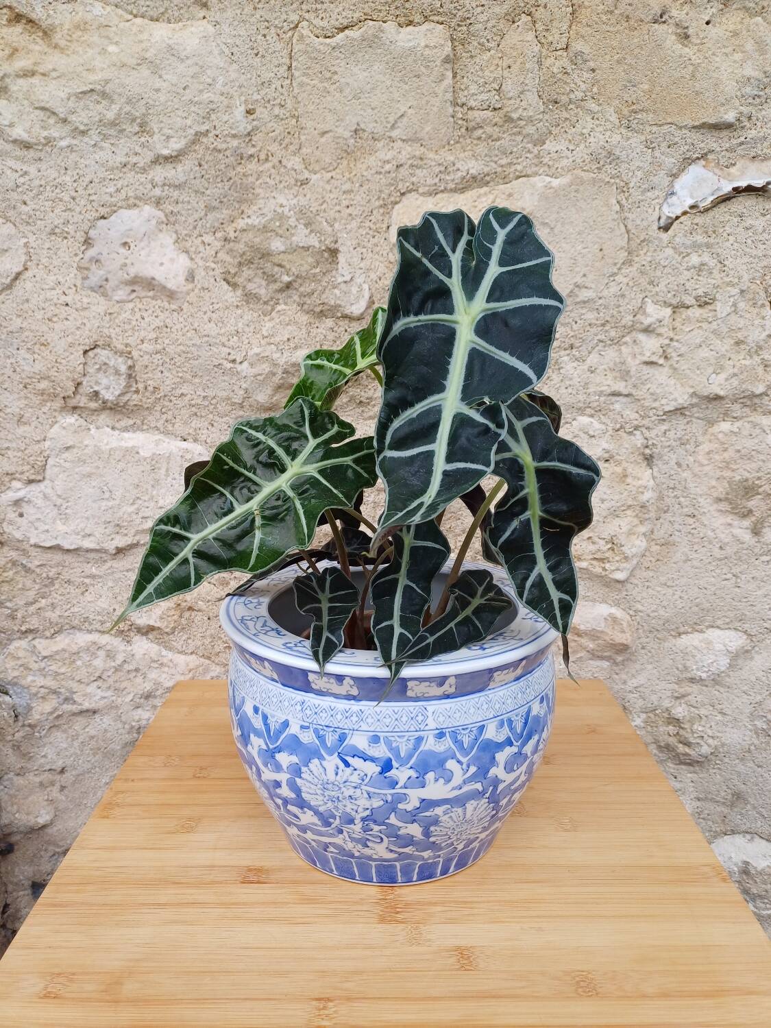 Large Chinese planter