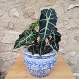 Large Chinese planter