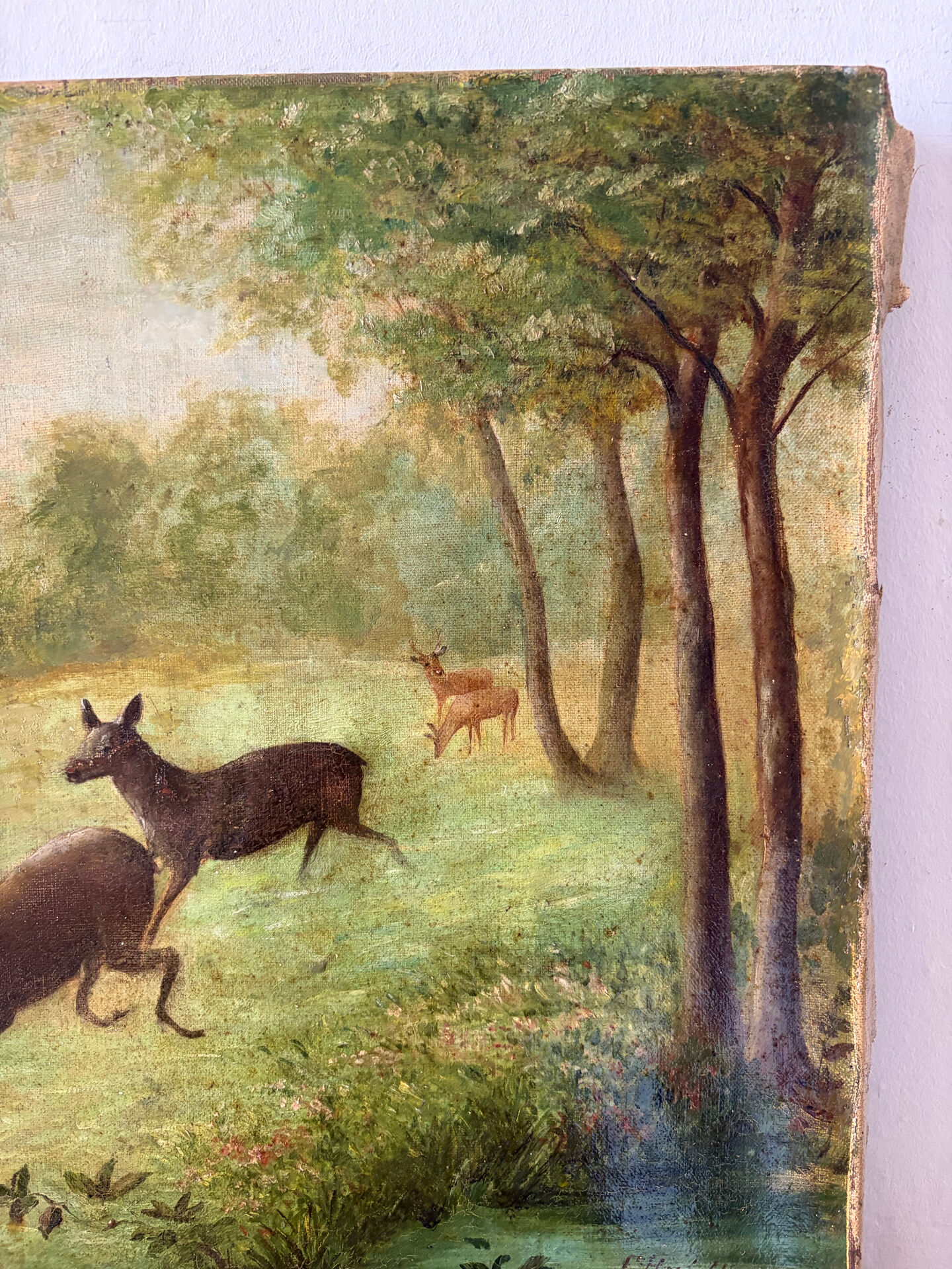 Clearing with five deer, oil on canvas signed F Hari Fourchon