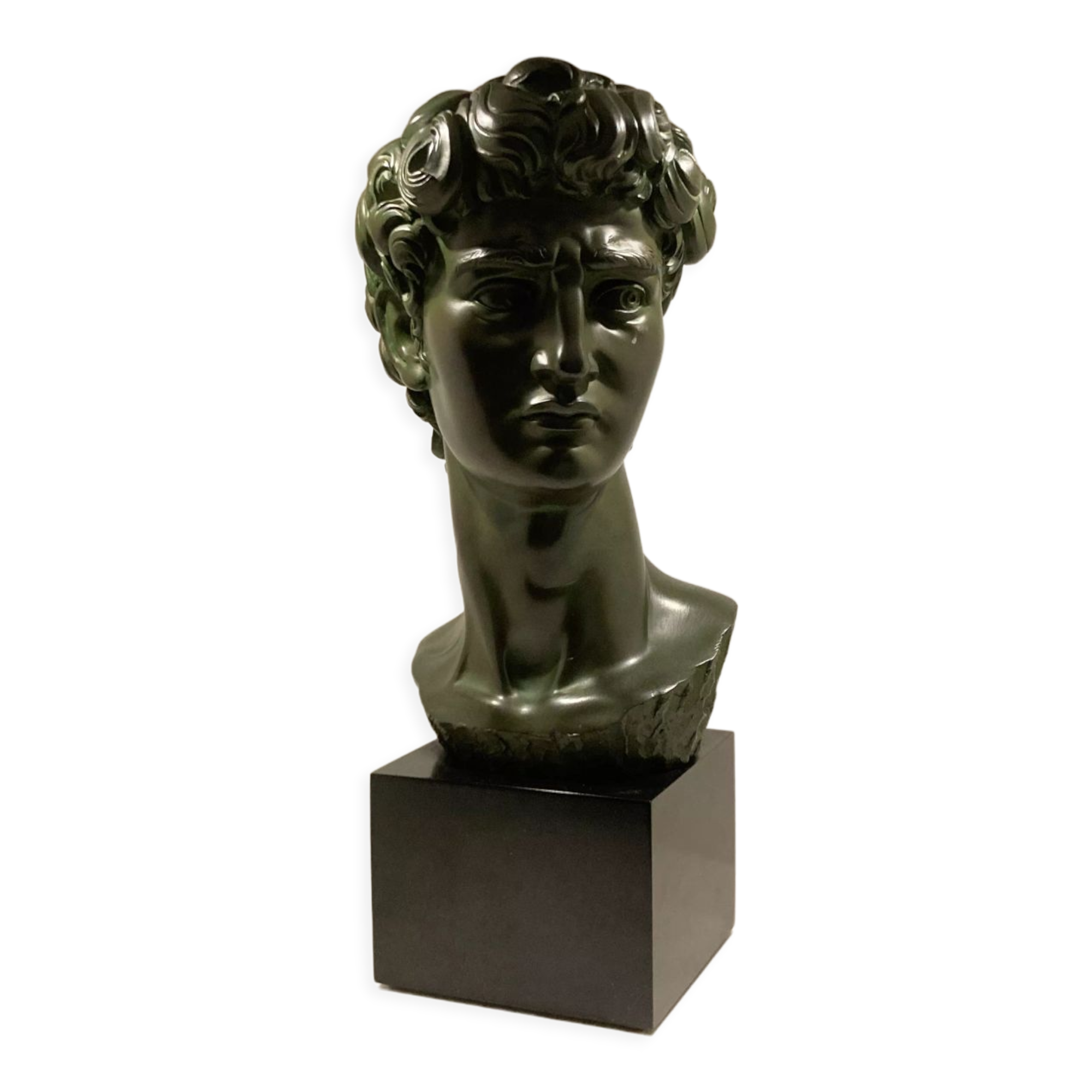 Bust of david