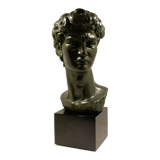 Bust of david