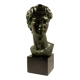 Buste de david