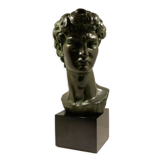 Bust of david