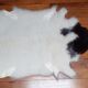 Sheepskin