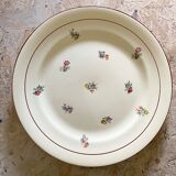 Plate earthenware Salins