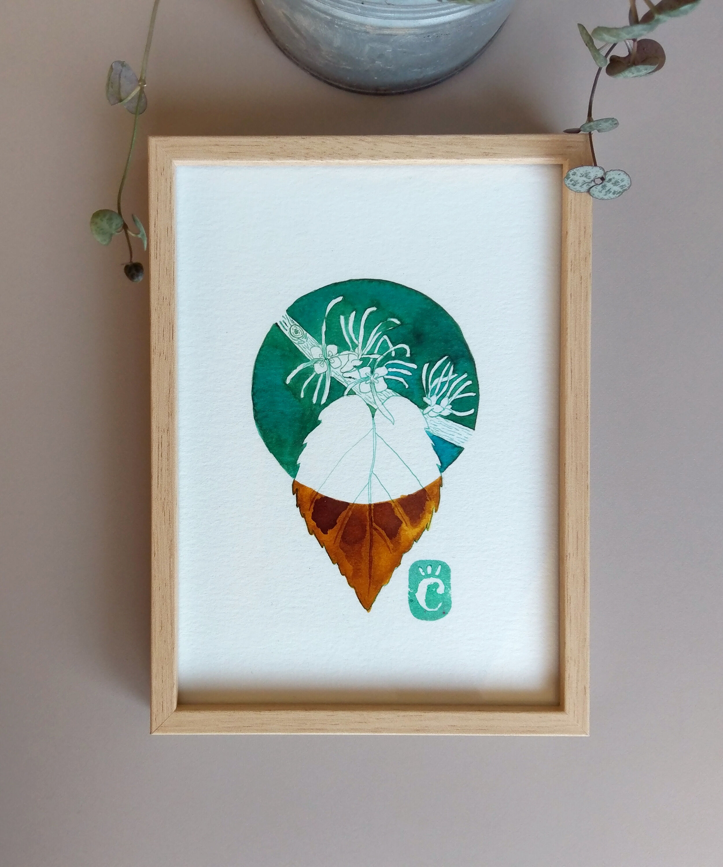 Hamamélis - 13 x 18 cm - winter flower series