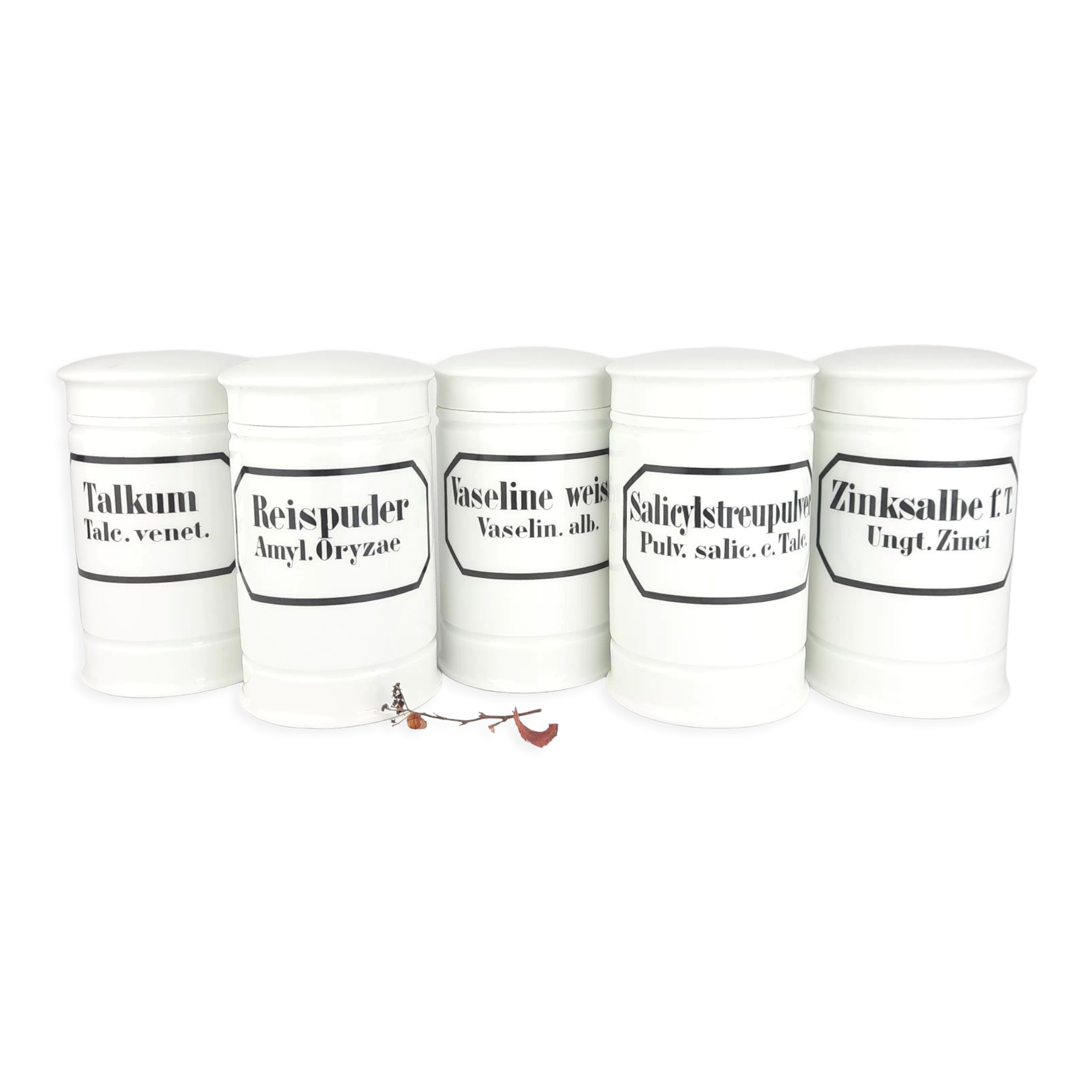 Porcelain apothecary jars