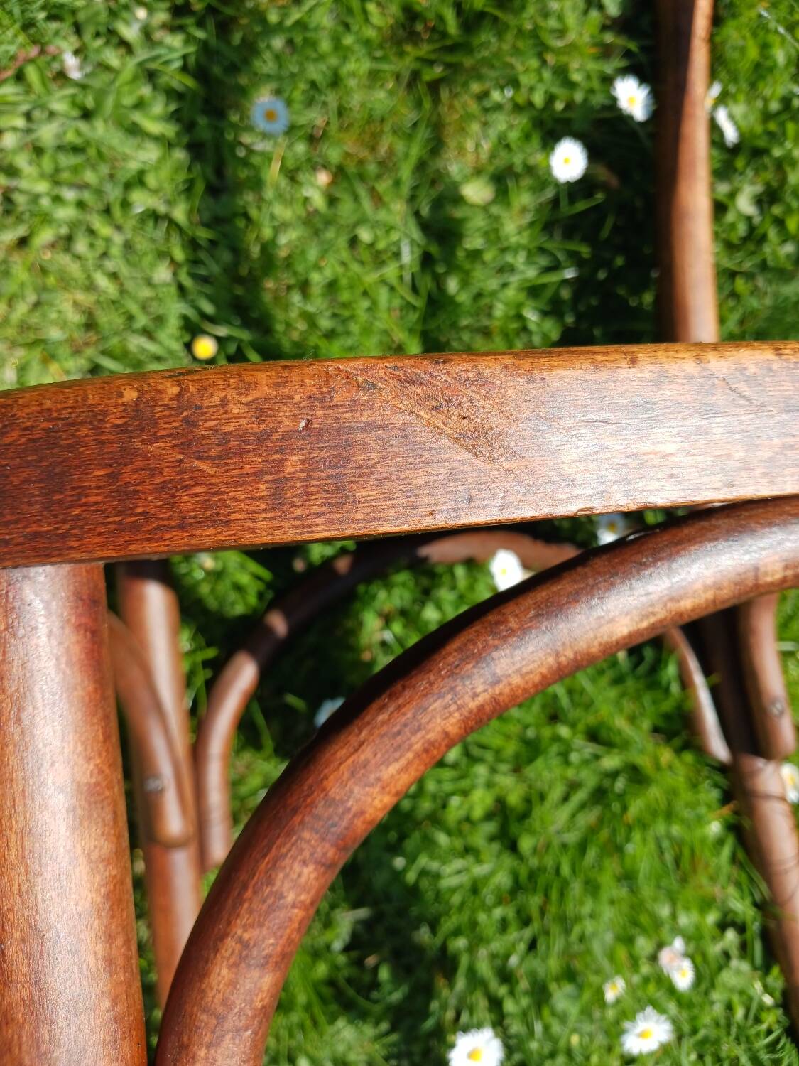 Baumann Art Nouveau bistro chair