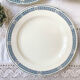 9 vintage flat plates iron earth salins model "castellane"