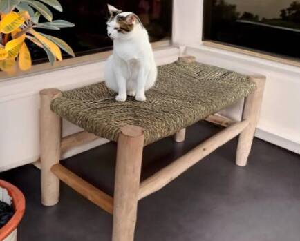 Bathroom and bedroom stool, handmade from wood.