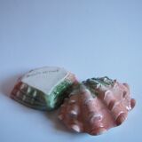 Saucière seashell in dabbling