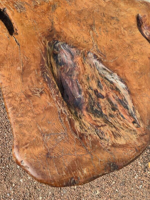 Table basse Brutaliste racine tronc d'arbre en Orme massif 1950s