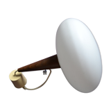 Philips hanging lamp
