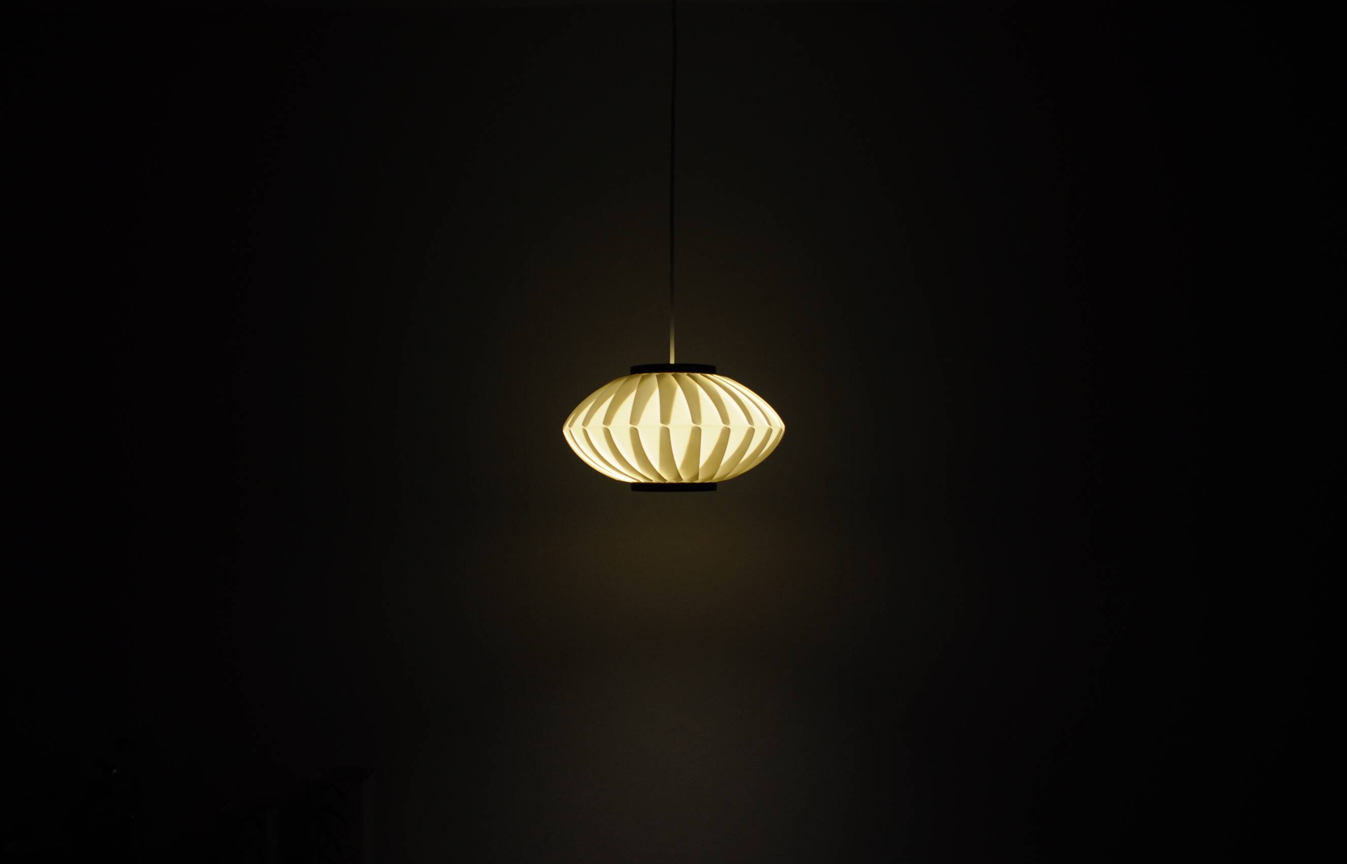 Anemone Pendant Lamp by Lars Eiler Schiøler for Hoyrup Light, 1970s