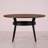 Scandinavian table  1960